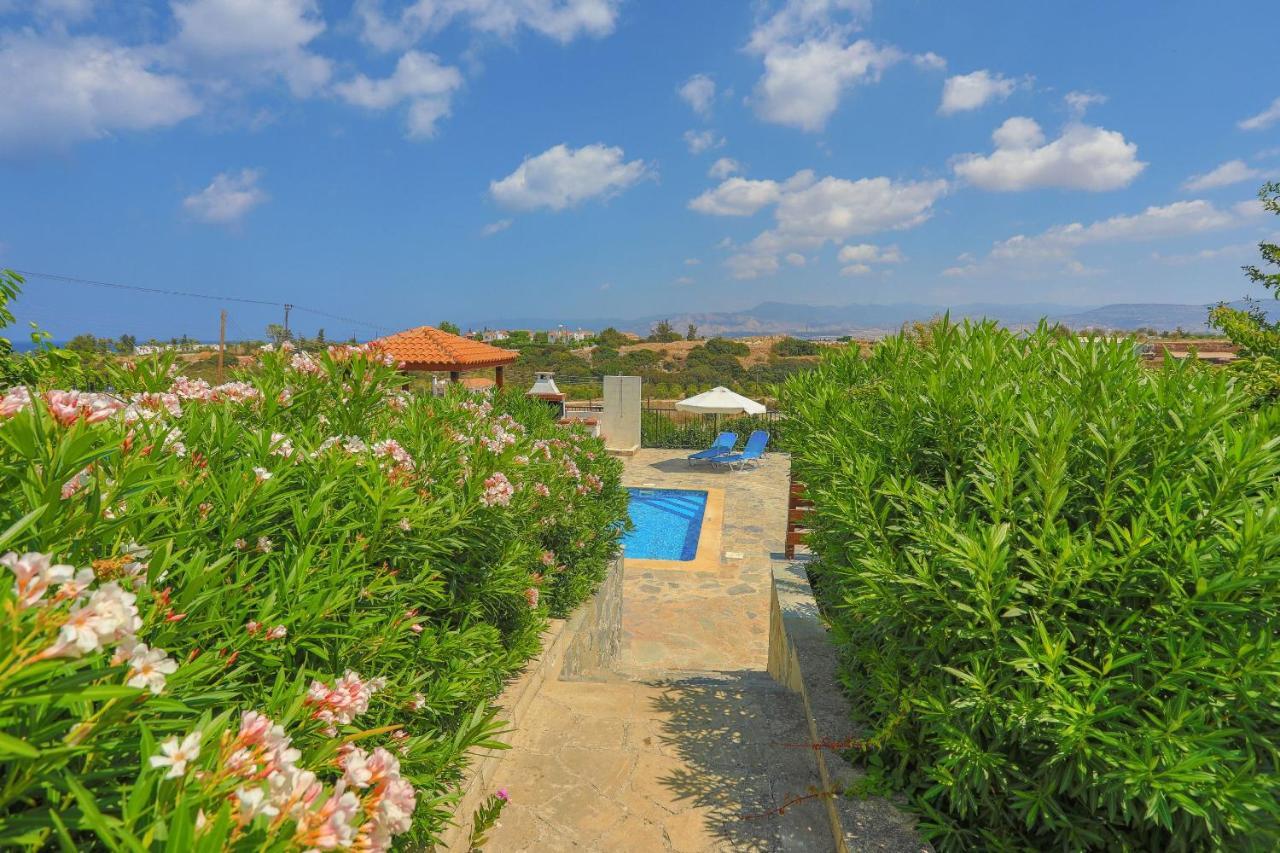 Villa Aphrodite Finiki Polis エクステリア 写真